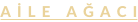 shapeimage_86_link_0