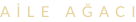 shapeimage_2_link_0